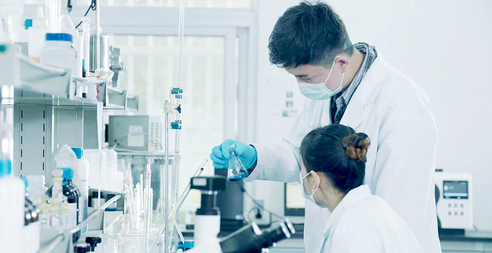 Postdoctoral Workstation Laboratory